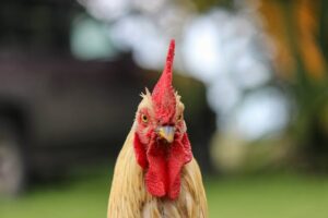 Kliendiprofiili spikker, ehk kuidas teha ja miks vaja
