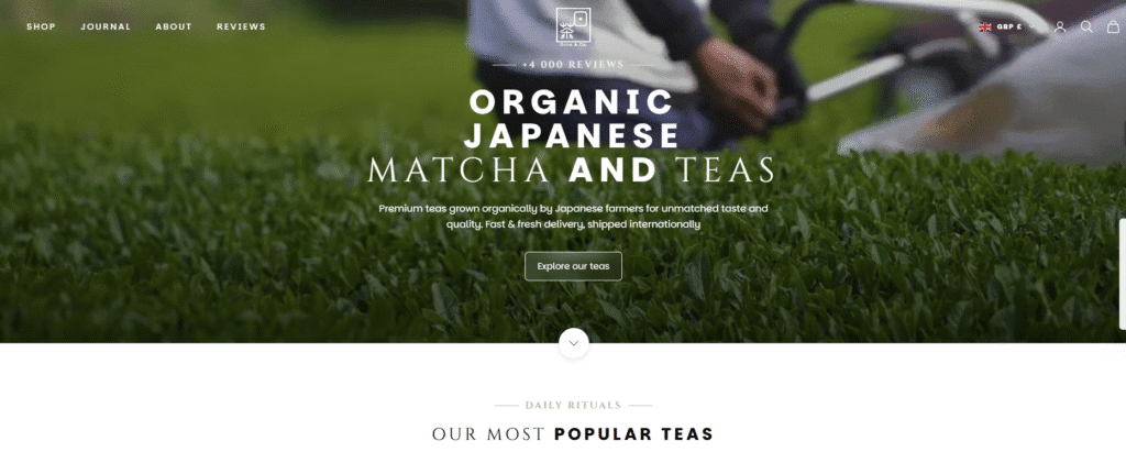 Ocha and co